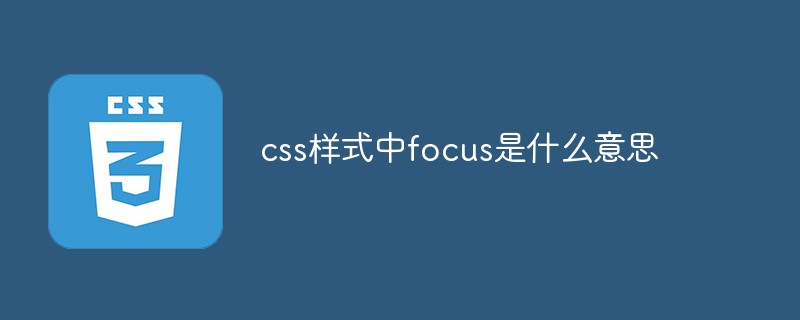 css教程css样式中focus是什么意思