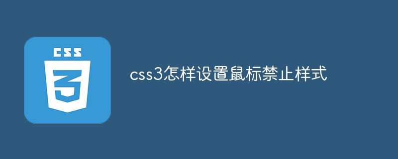 css教程css3怎样设置鼠标禁止样式