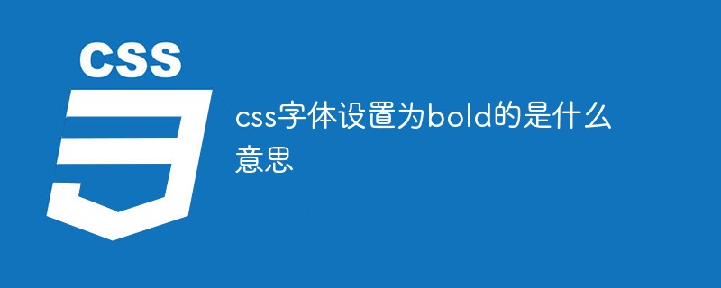 回答css字体设置为bold的是什么意思