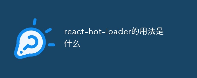回答<span style='color:red;'>react</span>-hot-loader的用法是什么