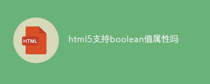 回答html5支持boolean值属性吗