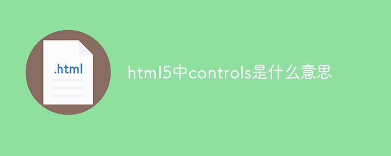 回答html5中controls是什么意思