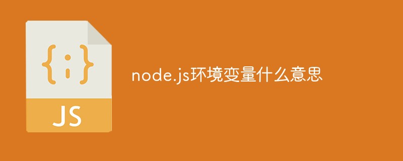 回答node.js环境变量什么意思