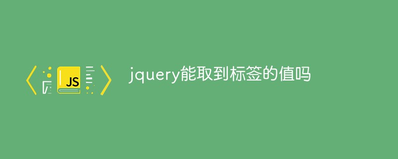 回答jquery能取到标签的值吗