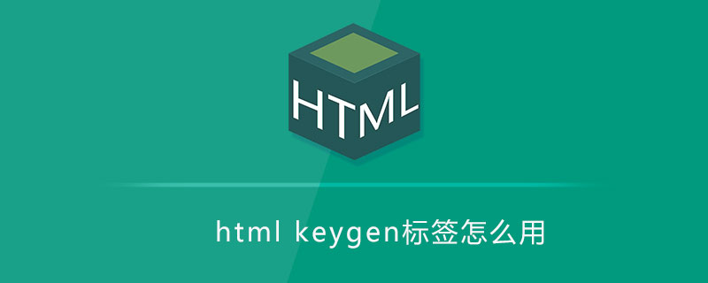 html代码html keygen标签怎么用
