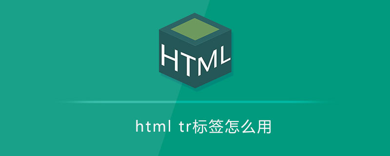 html代码html tr标签怎么用
