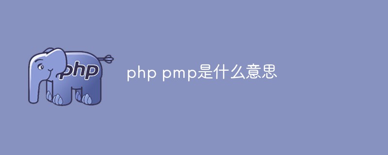 php教程php pmp是什么意思