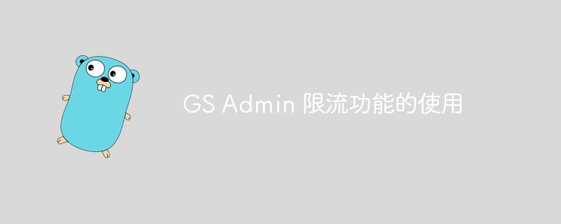 php教程一文详解GS Admin限流功如何用