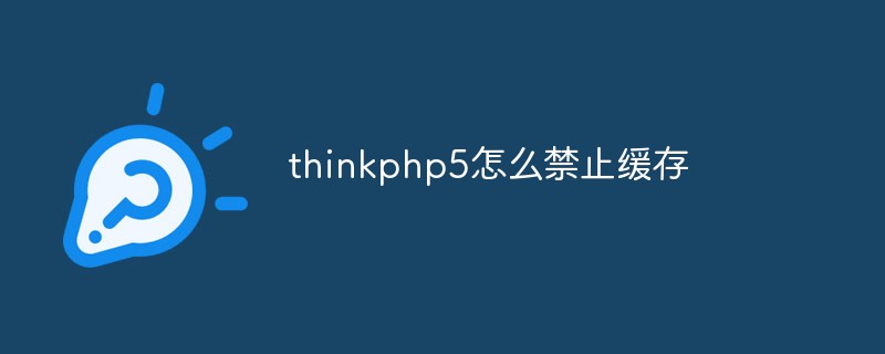 2023<span style='color:red;'>ThinkPHP5</span>怎么禁止缓存