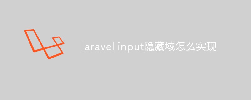 2023<span style='color:red;'>Laravel</span> input隐藏域怎么实现