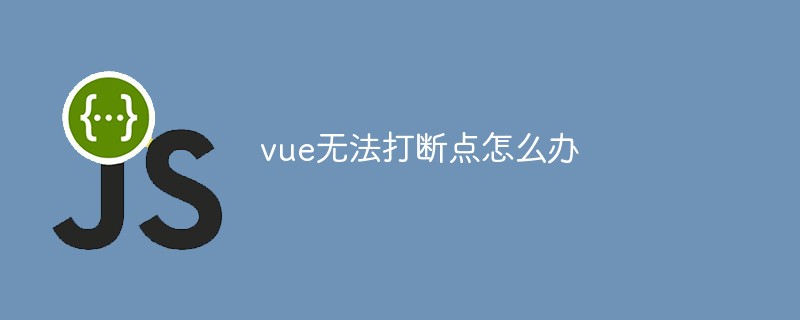 2023vue无法打断点怎么办