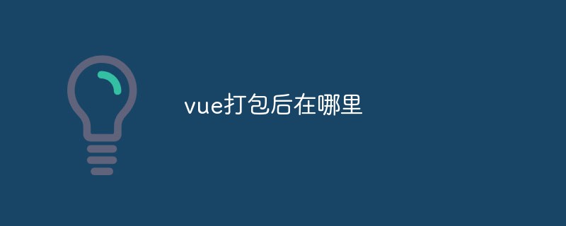 2023vue打包后在哪里