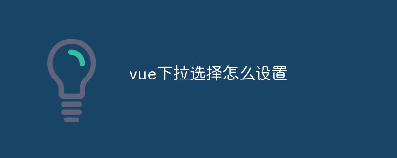 2023如何在<span style='color:red;'>vue.js</span>中设置下拉选择框