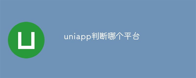 2023uniapp如何判断当前运行的平台