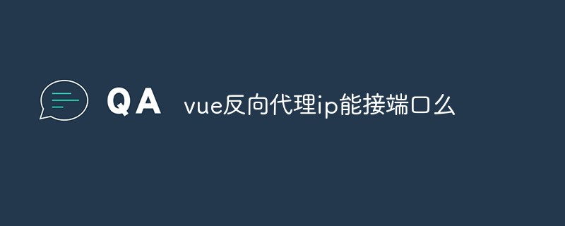 2023vue反向代理ip能接端口么