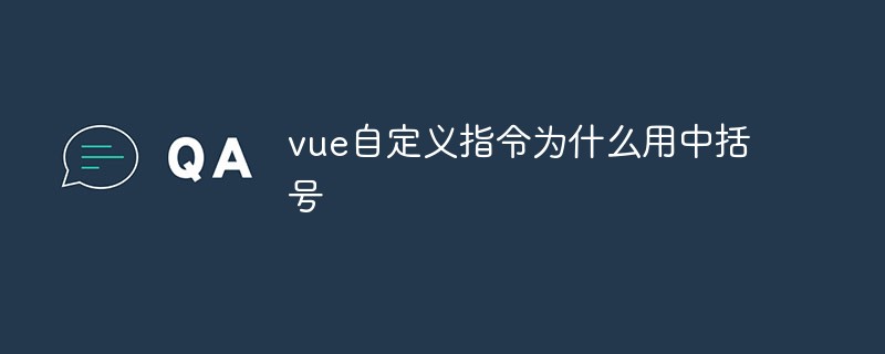 2023vue自定义指令为什么用中括号