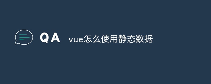 2023vue怎么使用静态数据