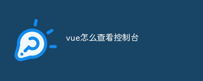 2023如何查看Vue应用控制台？