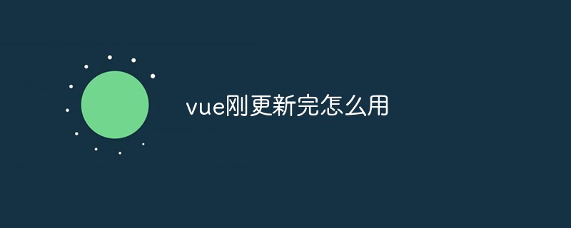 2023vue刚更新完怎么用