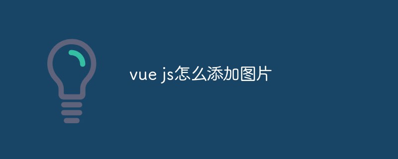 2023<span style='color:red;'>vue.js</span>怎么添加图片