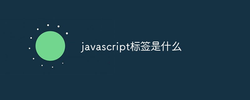 2023javascript<span style='color:red;'>标签</span>是什么