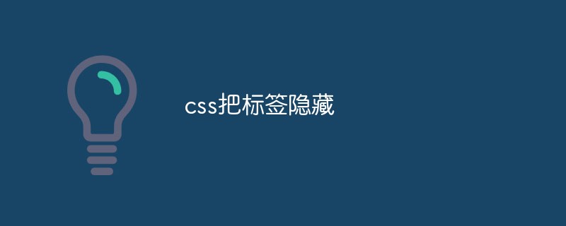 2023css把<span style='color:red;'>标签</span>隐藏