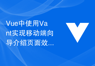 2023Vue中使用Vant实现移动端向导介绍页面效果