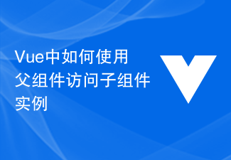 2023Vue中如何使用父组件访问子组件实例