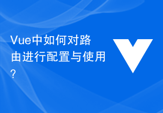 2023Vue 中如何对路由进行配置与使用？