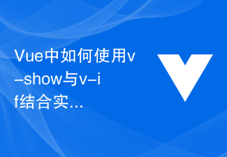 2023Vue中如何使用v-show与v-if结合实现动态页面渲染