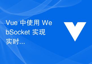 2023Vue 中使用 WebSocket 实现实时通信的技巧