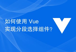 2023如何使用 Vue 实现分段选择组件？