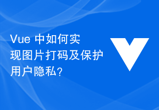 2023Vue 中如何实现图片打码及保护用户隐私？