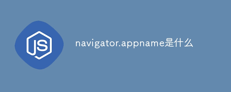 2023navigator.appname是什么