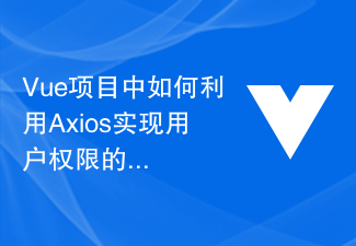 2023Vue项目中如何利用Axios实现用户权限的管理与控制