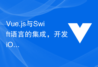 2023Vue.js与Swift<span style='color:red;'>语言</span>的集成，开发iOS应用的高级技巧