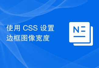 2023使用 CSS 设置边框图像宽度