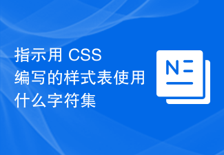 2023指示用 CSS 编写的样式表使用什么字符集