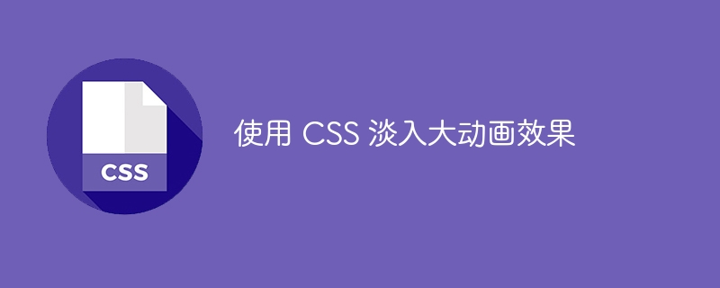 使用 CSS 淡入大动画效果