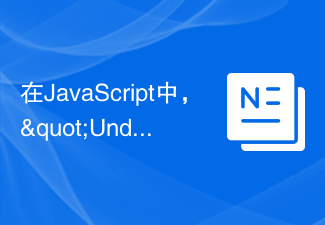 2023在JavaScript中，&quot;Undefined X<span style='color:red;'>1</span>&quot;是什么意思？