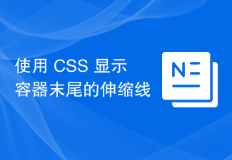 2023使用 CSS 显示容器末尾的伸缩线