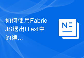 2023如何使用FabricJS退出IText中的编辑状态？