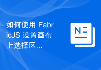 2023如何使用 FabricJS 设置画布上选择区域的边框颜色？