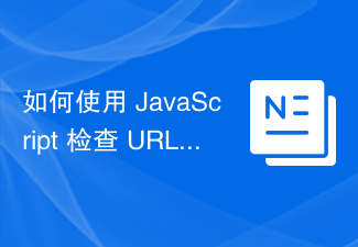 2023如何使用 JavaScript 检查 URL 是否包含哈希值？