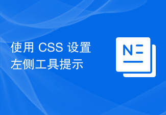 2023使用 CSS 设置左侧工具提示