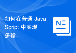 2023如何在普通 JavaScript 中实现多输入复选框？