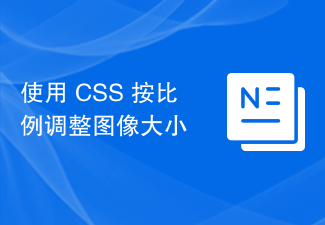 2023使用 CSS 按比例调整图像大小