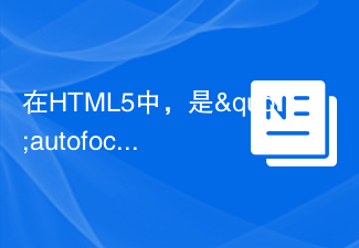 2023在HTML5中，是&quot;autofocus&quot;还是&quot; autofocus&quot;？