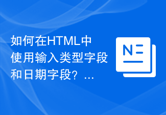 2023如何在HTML中使用输入类型字段和日期字段？