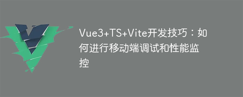 Vue3+TS+Vite开发技巧：如何进行移动端调试和性能监控